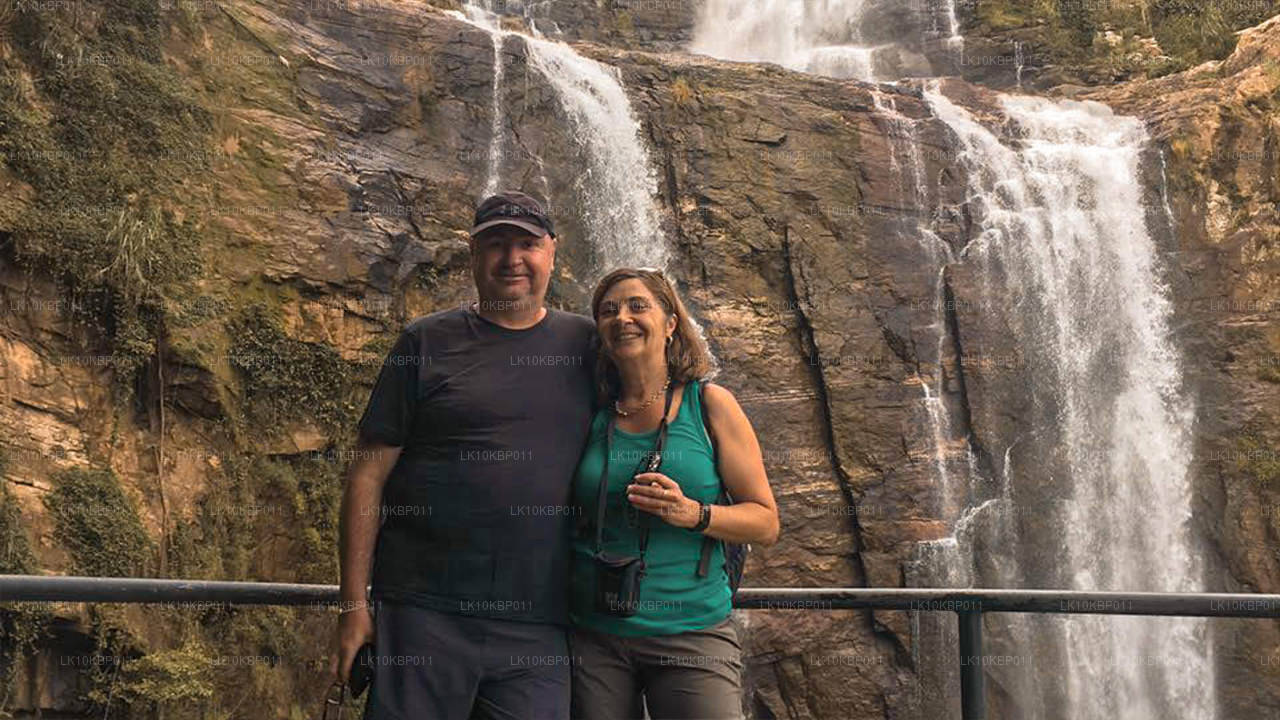 尽情享受刺激（20 天）