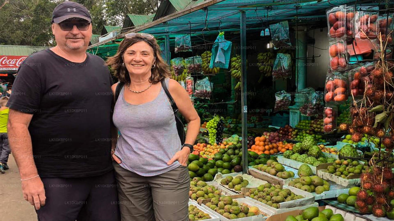 尽情享受刺激（20 天）