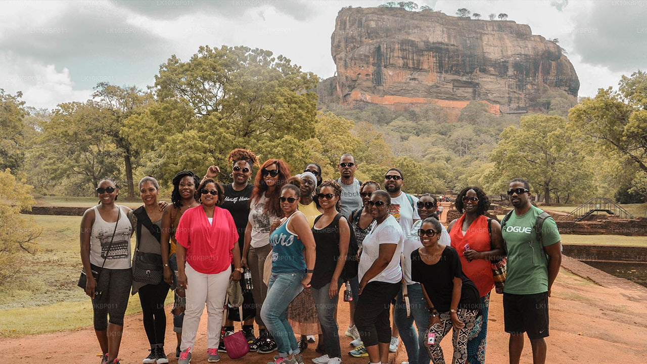 尽情享受刺激（20 天）