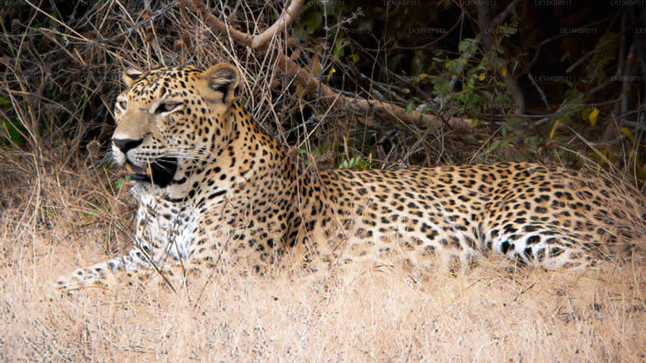 尽情享受刺激（20 天）