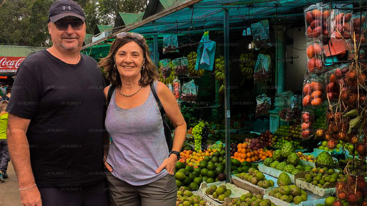 East Explorer（21 天）