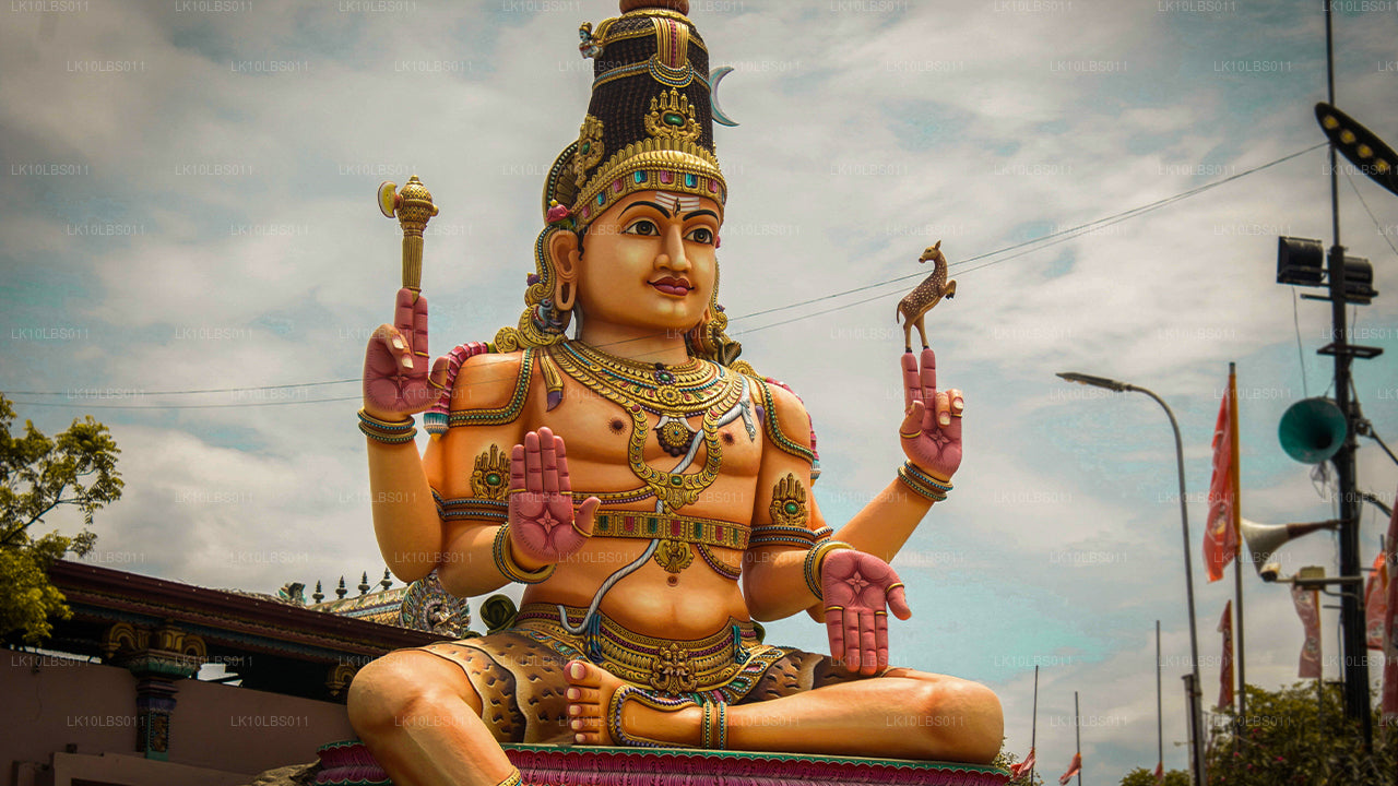 East Explorer（21 天）