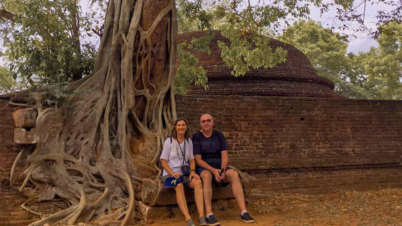 East Explorer（21 天）