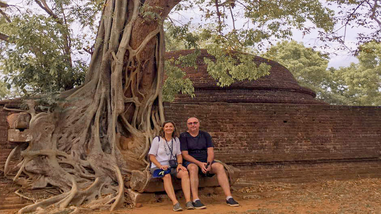 神奇的斯里兰卡（24 天）