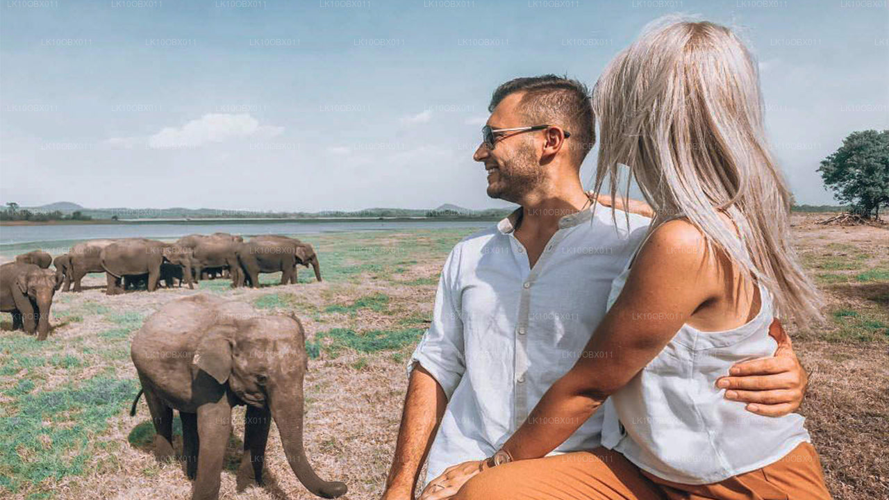 神奇的斯里兰卡（24 天）