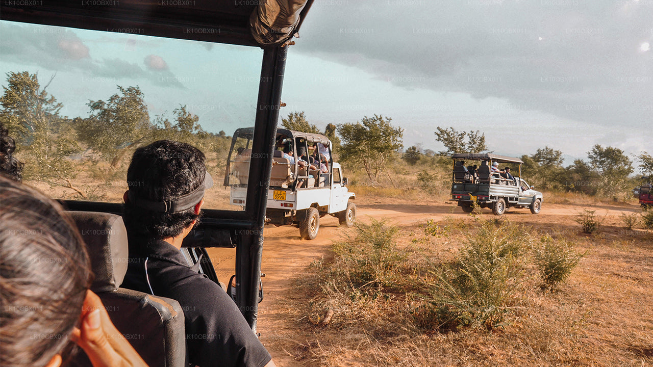 神奇的斯里兰卡（24 天）