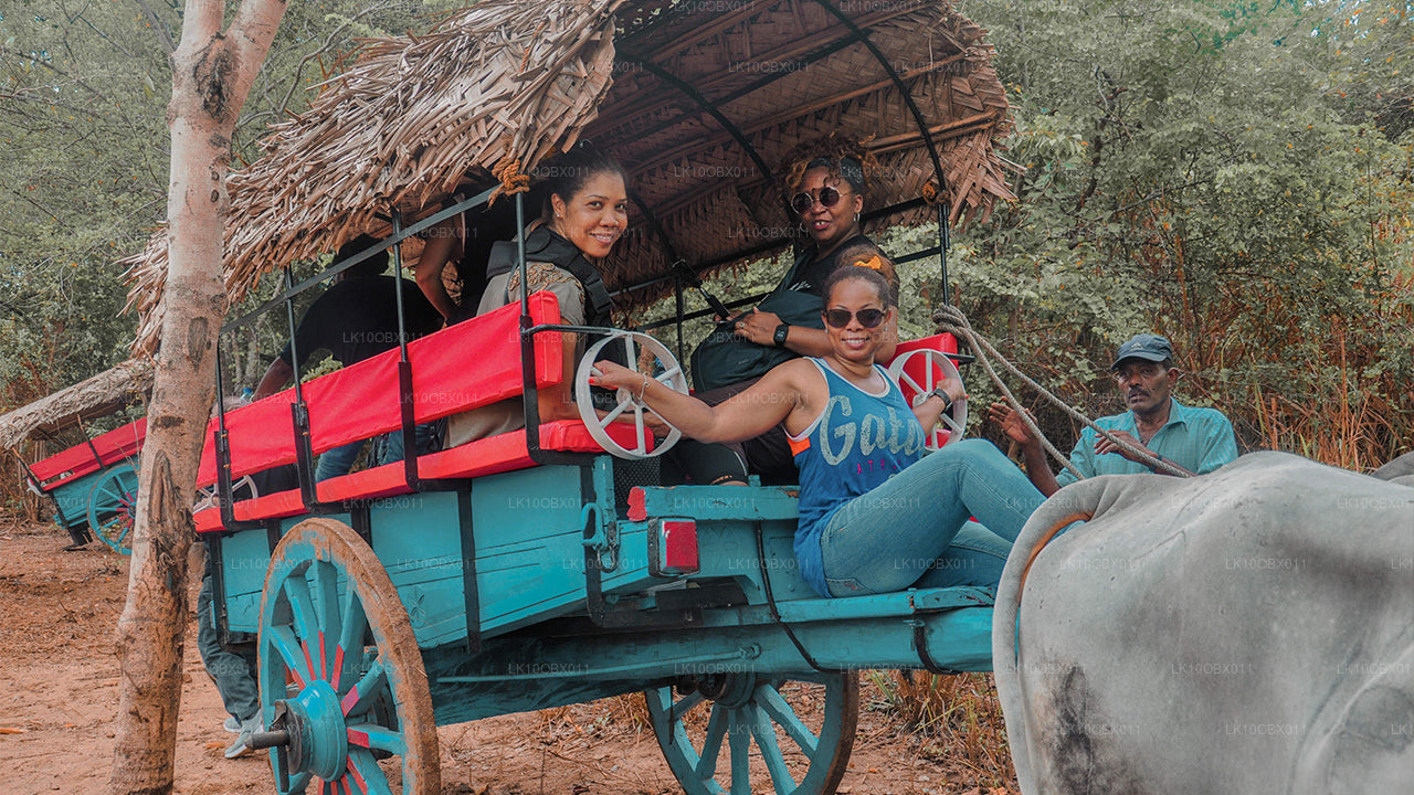 神奇的斯里兰卡（24 天）