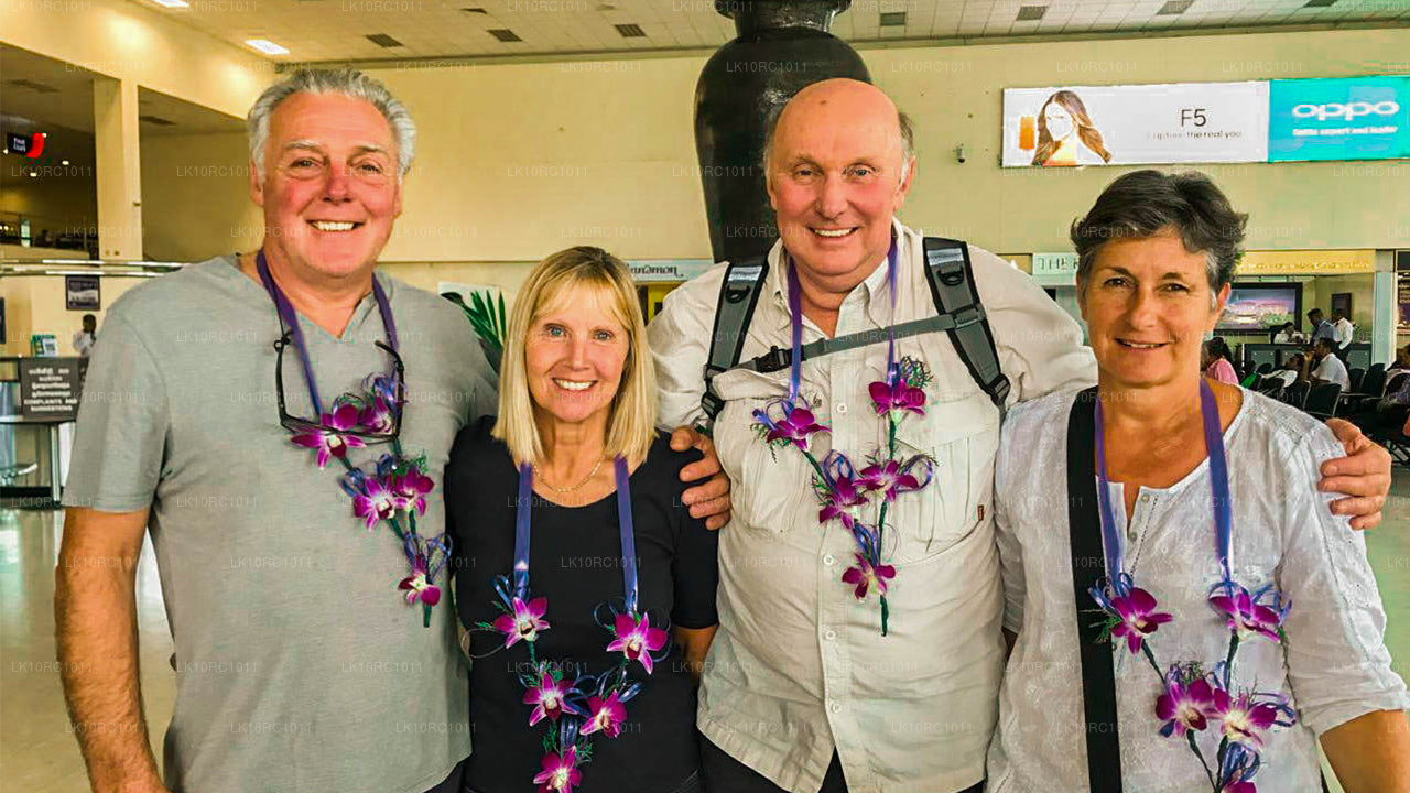 锡兰爱情（27 天）