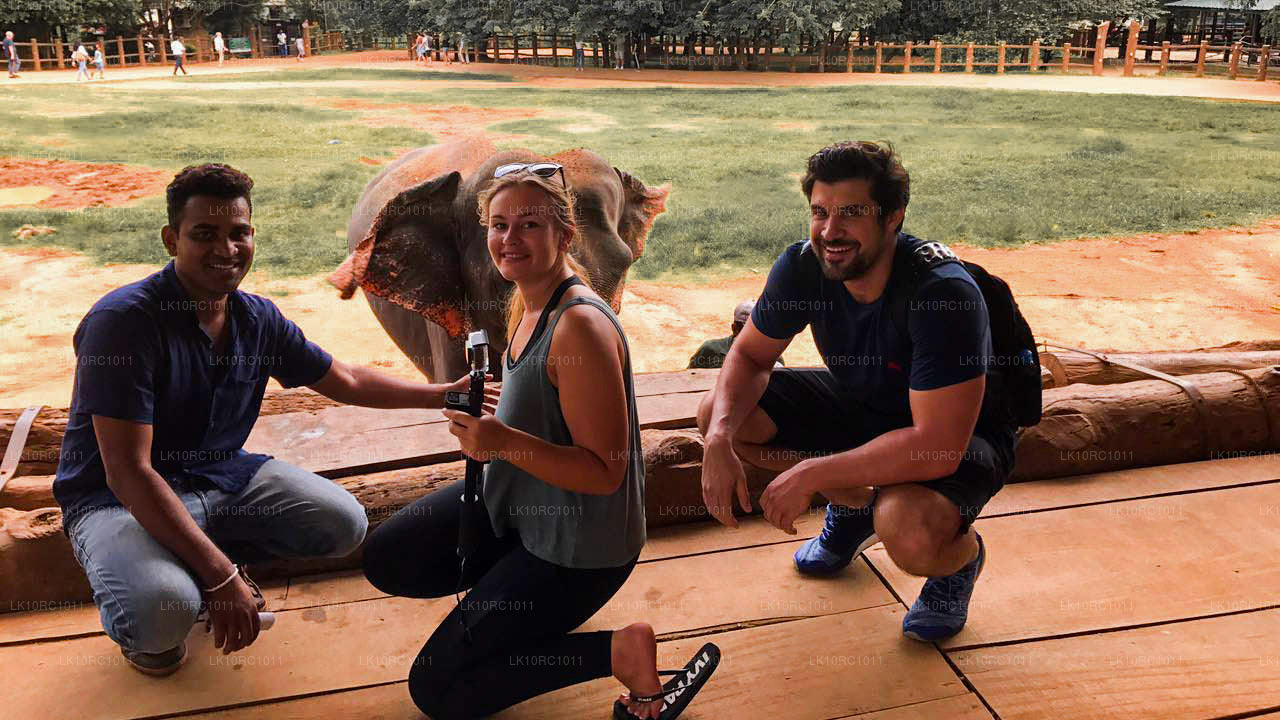 锡兰爱情（27 天）