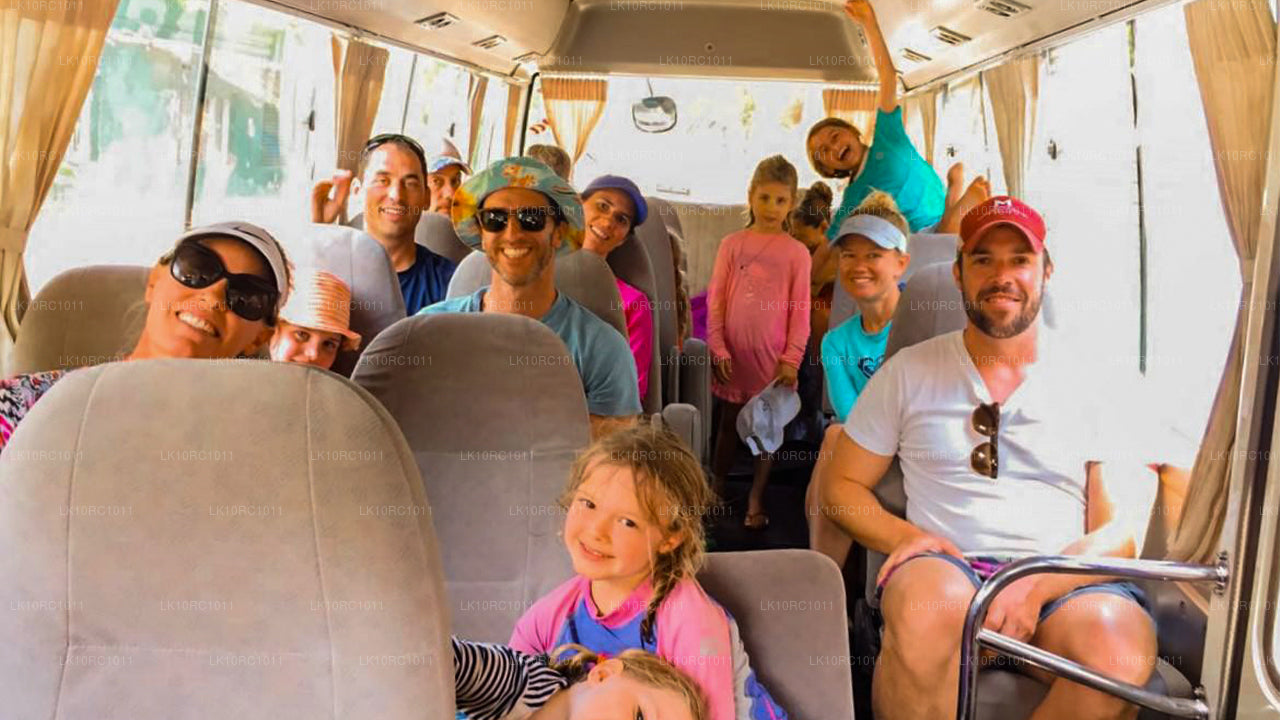 锡兰爱情（27 天）