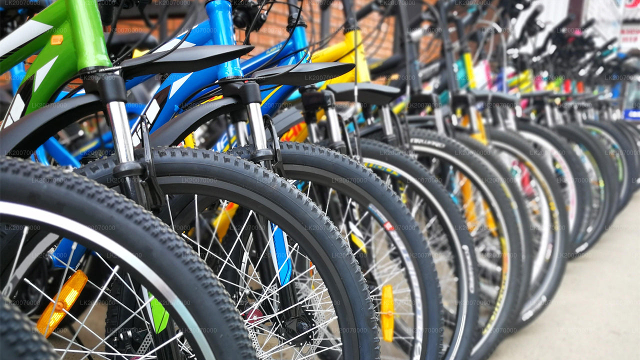 努沃勒埃利耶山地自行车租赁