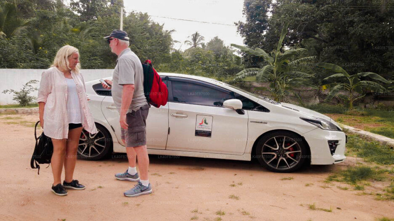 Jaffna Airport (JAF) to Trincomalee City Private Transfer