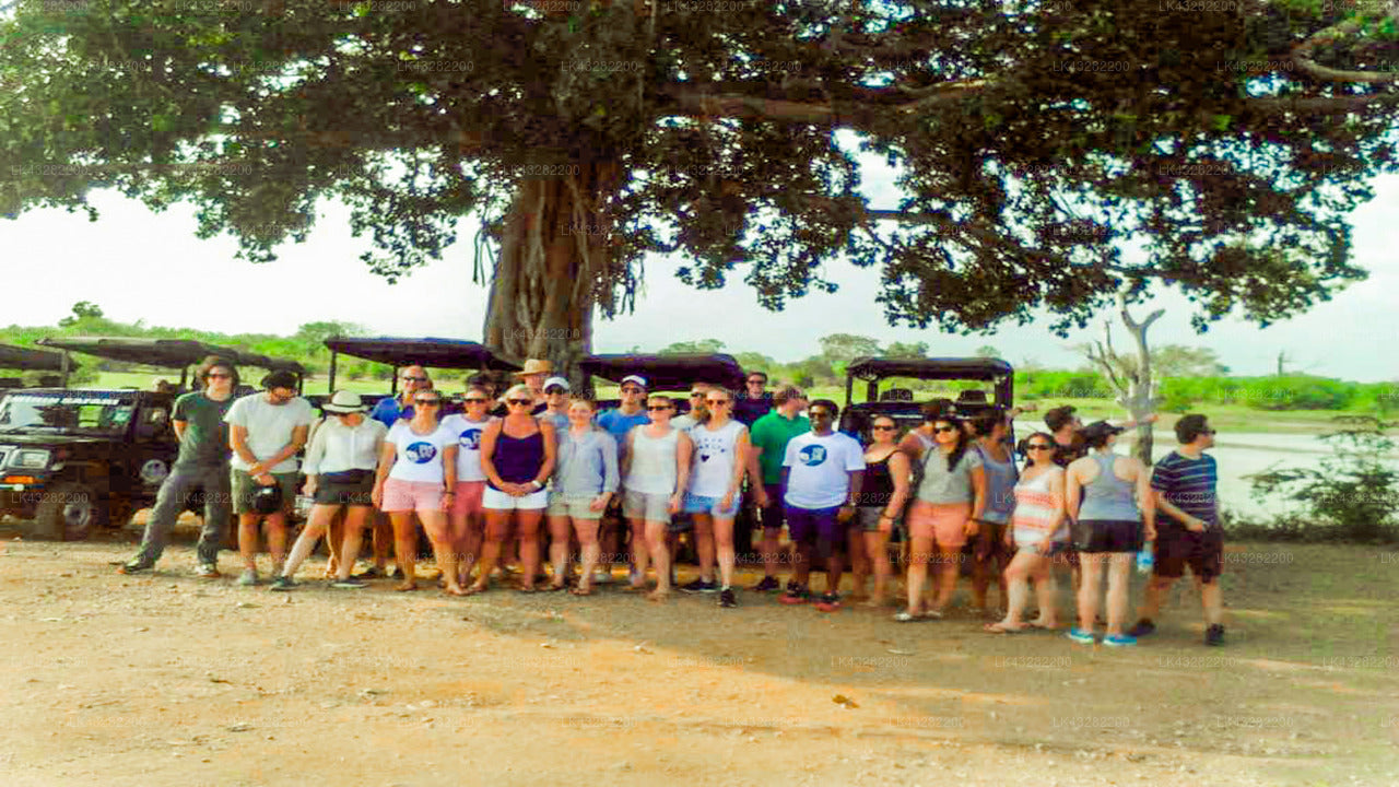 Transfer between Colombo Airport (CMB) and Elysium, Galle