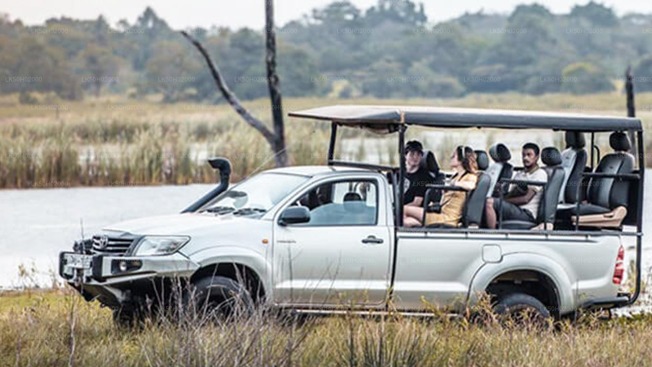 邦达拉国家公园私人自然学家陪同游猎之旅
