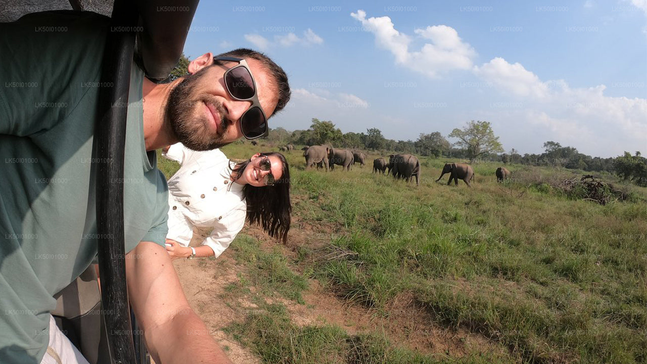 瓦斯加穆瓦国家公园私人野生动物园