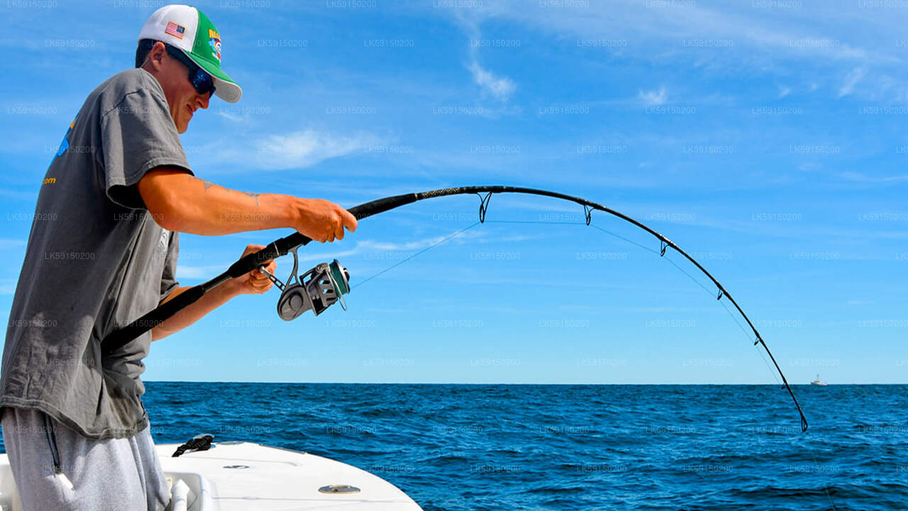 卡尔皮蒂亚礁钓