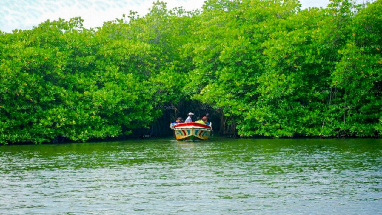 从贝鲁瓦拉出发，游览本托塔市区和加勒