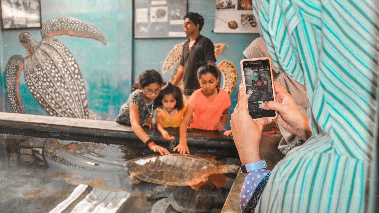 来自科伦坡的 Handungoda、Galle 和 Kosgoda