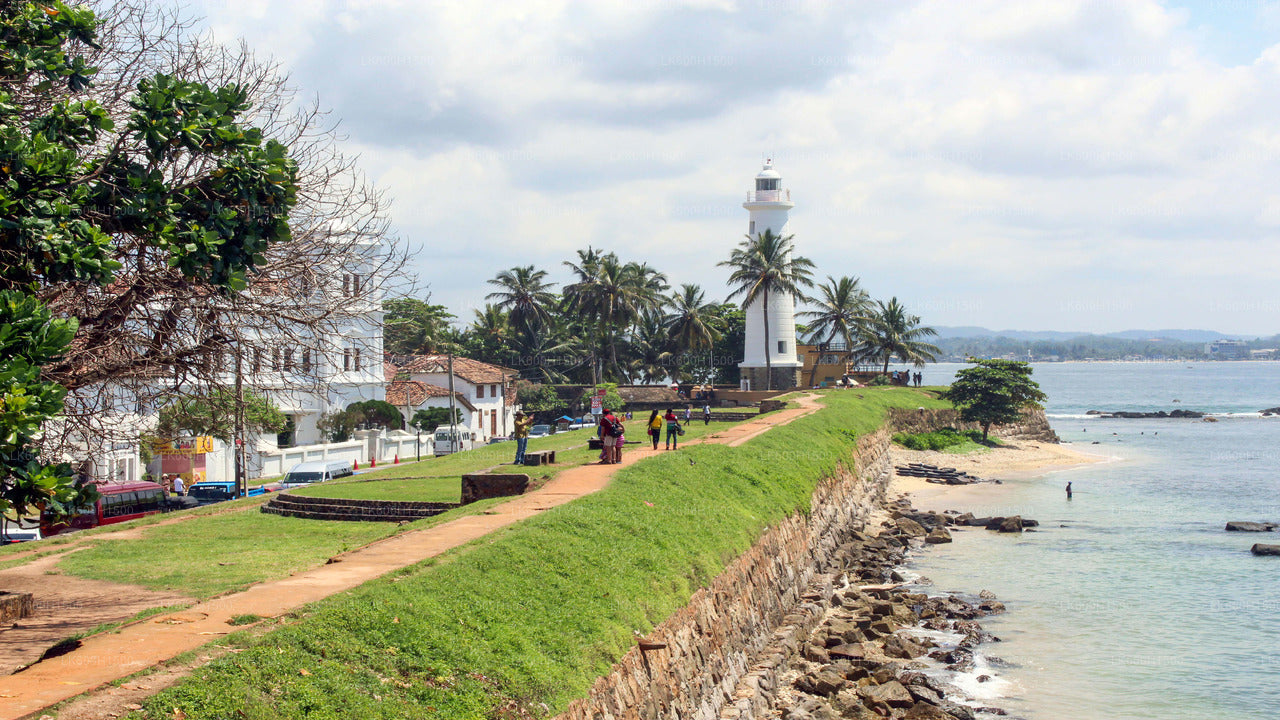 Virgin White Tea and Galle City Tour from Colombo Port