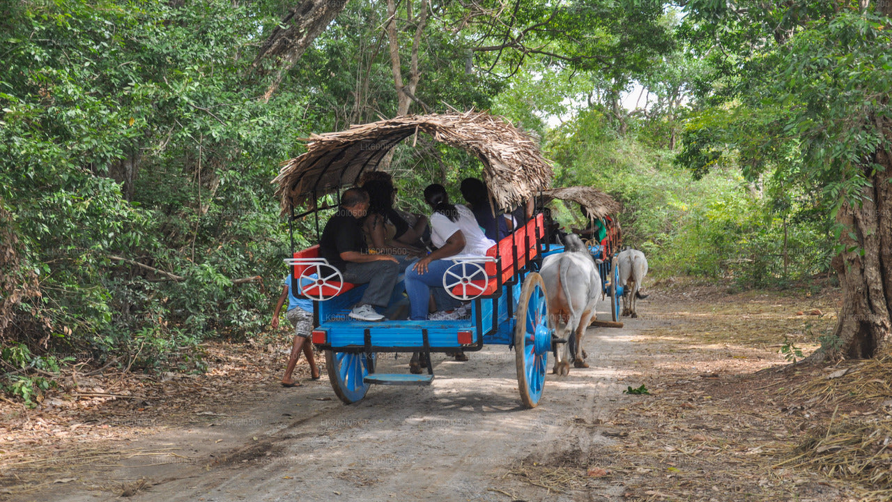 Hiriwadunna Village Tour and Lunch from Dambulla