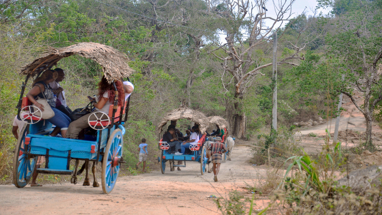 Sigiriya Village Tour with Sri Lankan Lunch from Dambulla