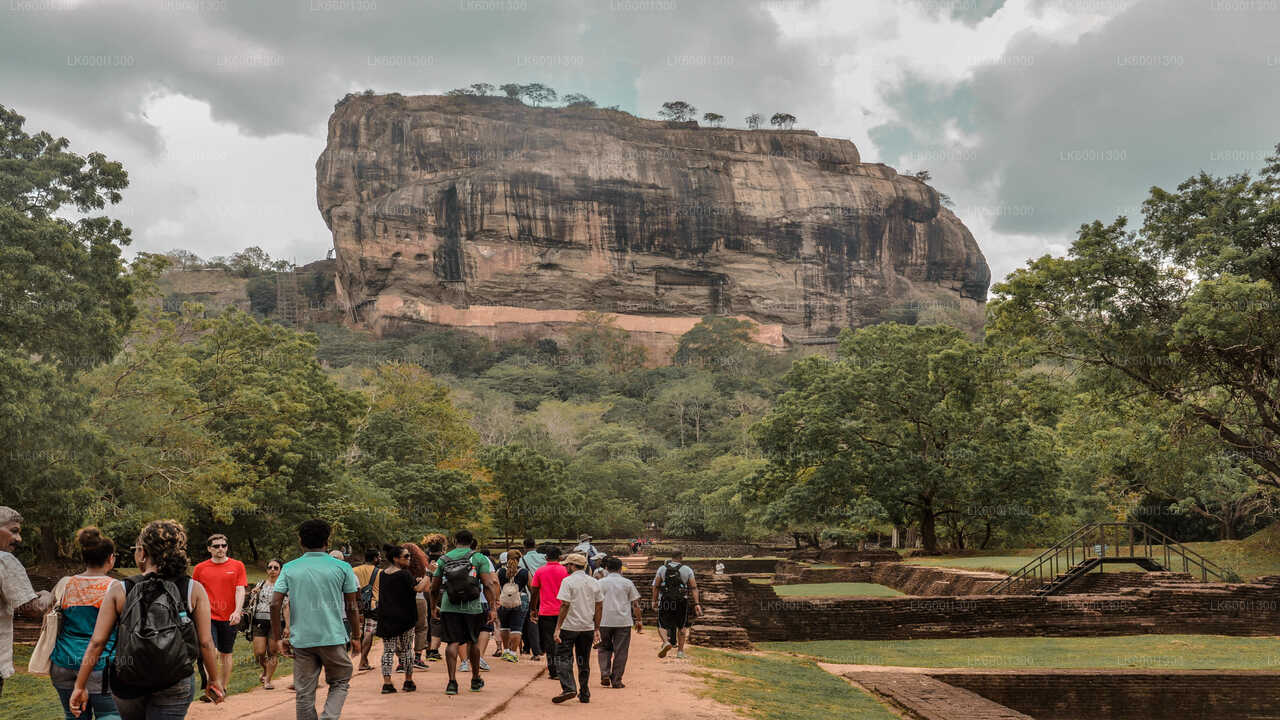 Sigiriya Village Tour with Sri Lankan Lunch from Dambulla