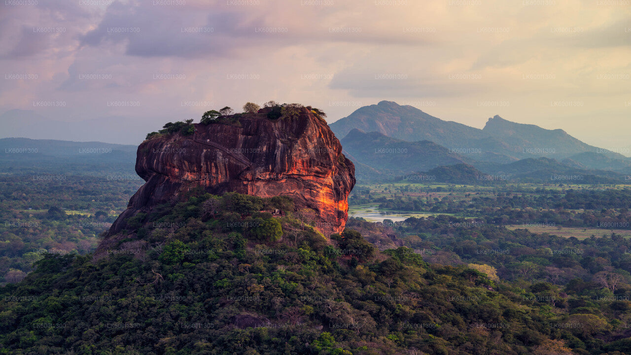 Sigiriya Village Tour with Sri Lankan Lunch from Dambulla