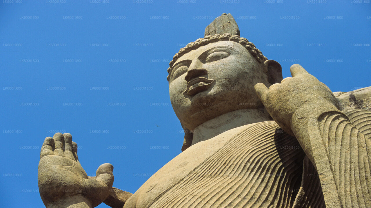 Yapahuwa Ancient Kingdom from Dambulla