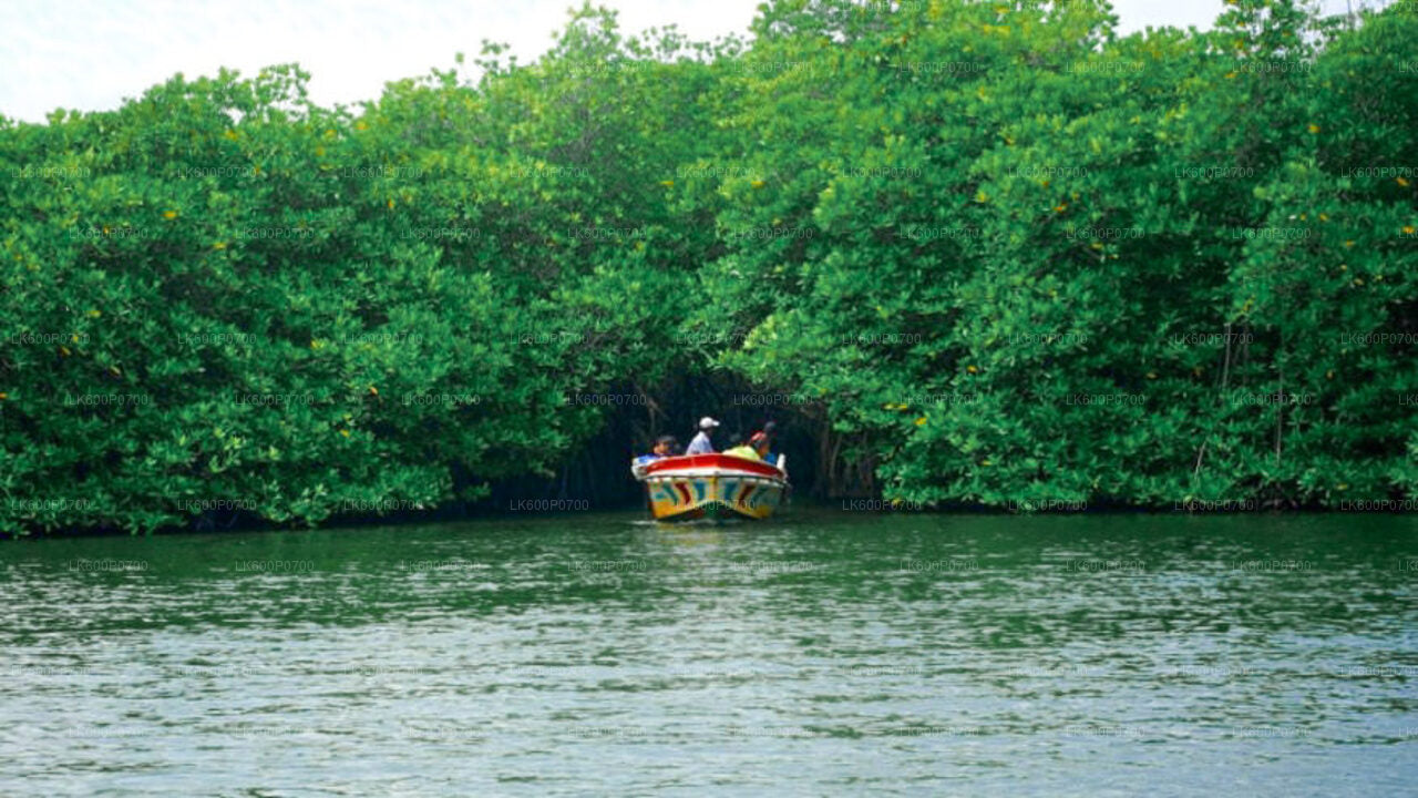 从加勒出发的古老荷兰堡垒之旅和河流探险