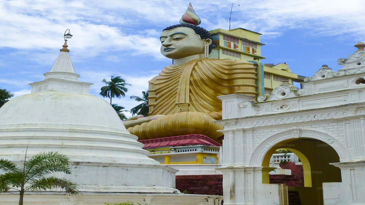 从加勒出发的隐秘寺庙和僻静海岸线之旅