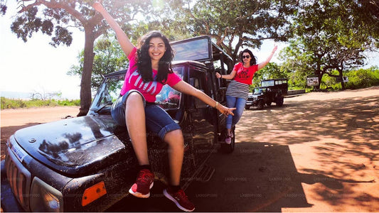 从加勒出发前往亚拉国家公园进行野生动物之旅