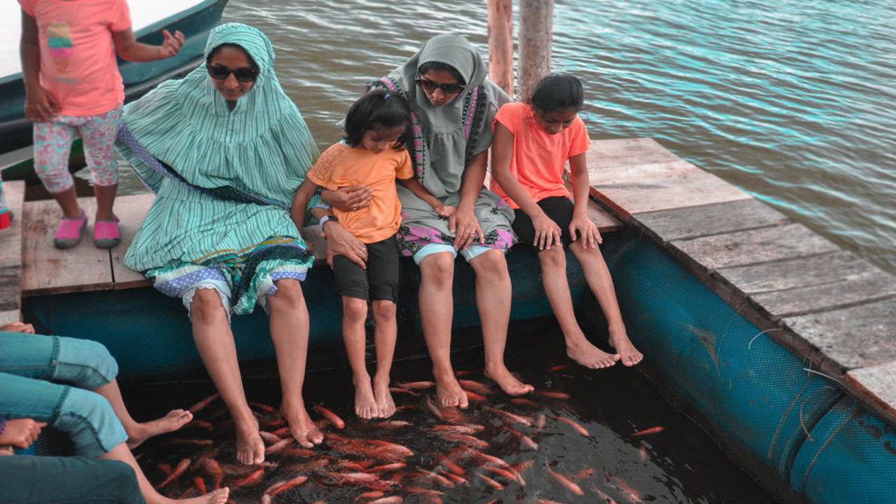 来自本托塔的巴拉皮提亚 (Balapitiya)、汉杜努戈达 (Handunugoda) 和加勒 (Galle)