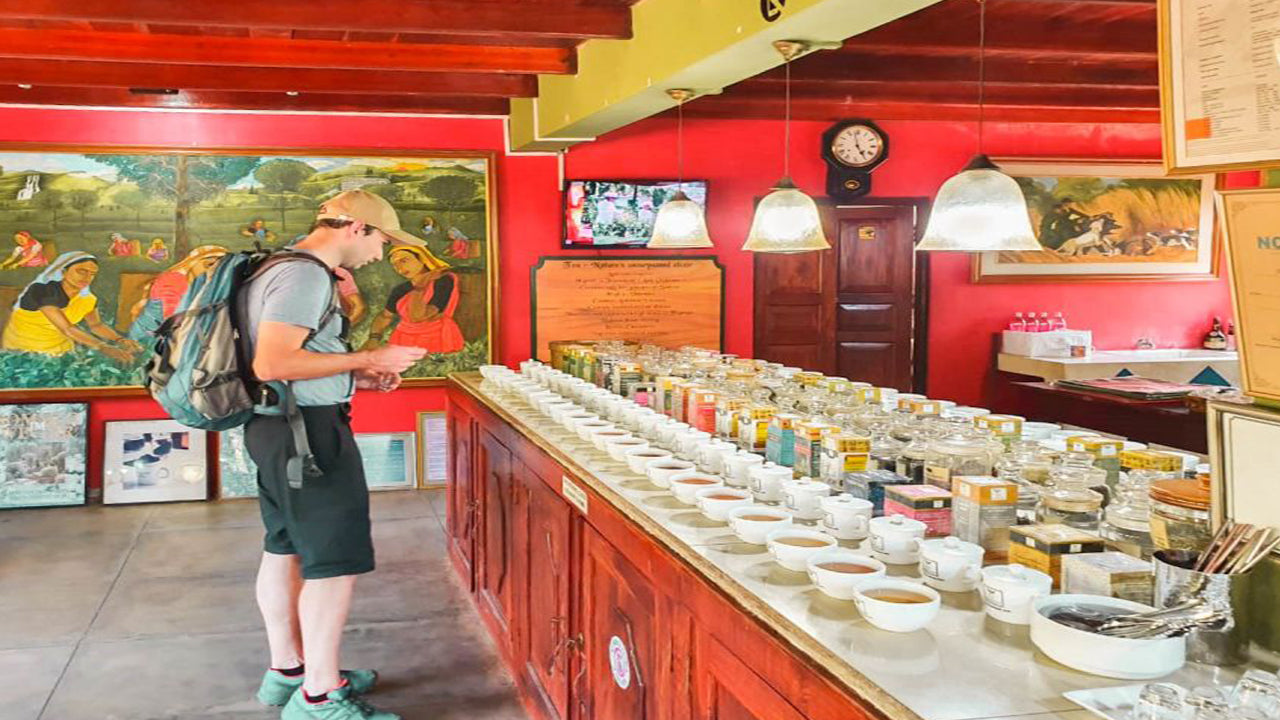 来自本托塔的巴拉皮提亚 (Balapitiya)、汉杜努戈达 (Handunugoda) 和加勒 (Galle)