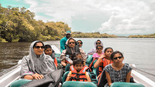 来自本托塔的巴拉皮提亚 (Balapitiya)、汉杜努戈达 (Handunugoda) 和加勒 (Galle)