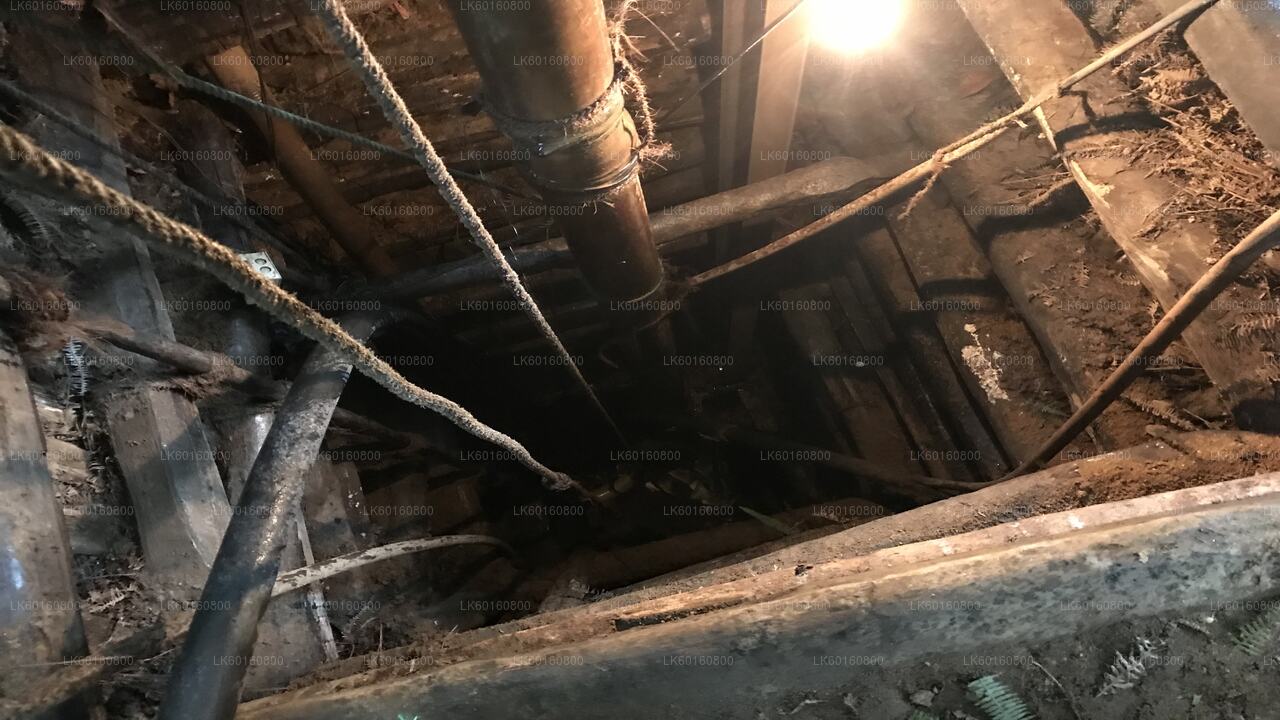 从卡卢特勒探索拉特纳普勒的宝石矿