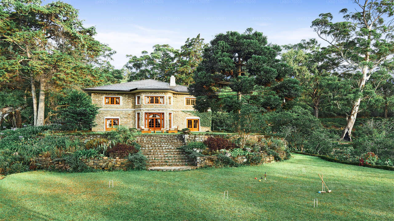 从康提出发的努沃勒埃利耶高原