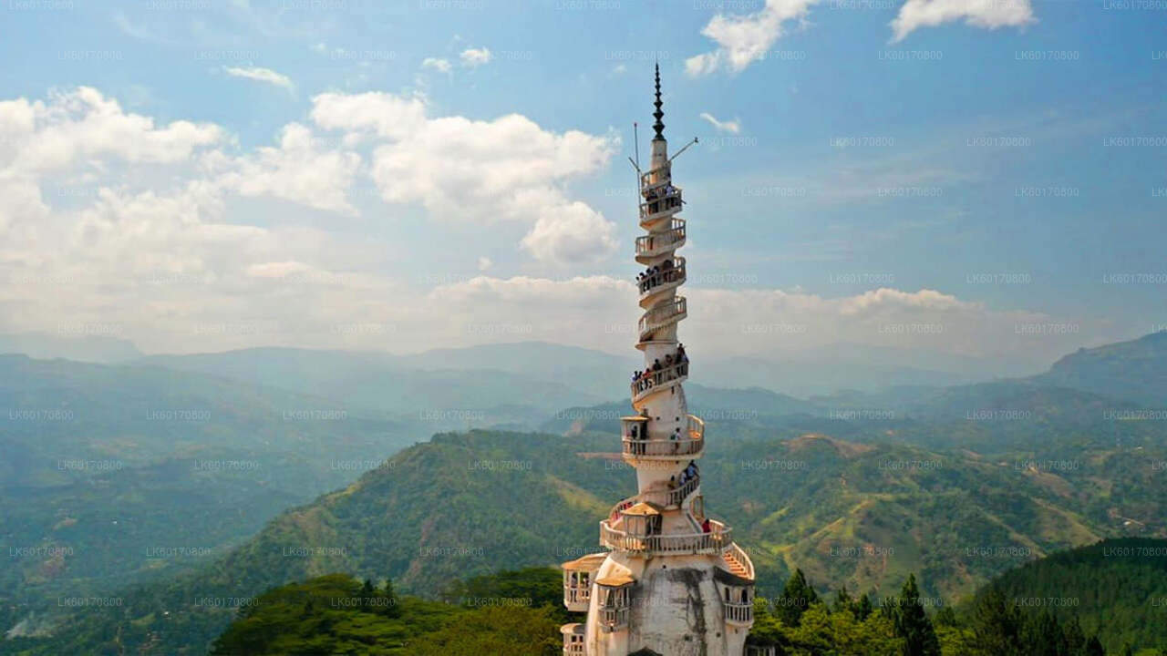 从康提探索安布卢瓦瓦生物多样性中心