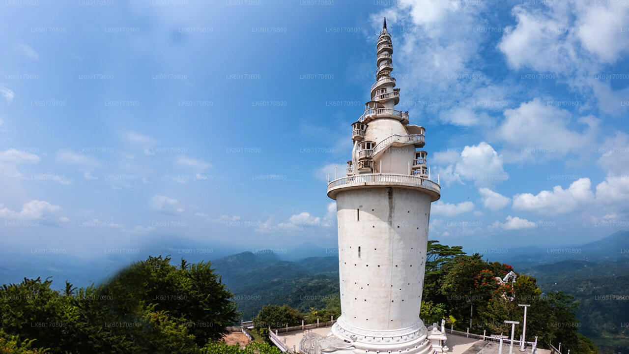 从康提探索安布卢瓦瓦生物多样性中心