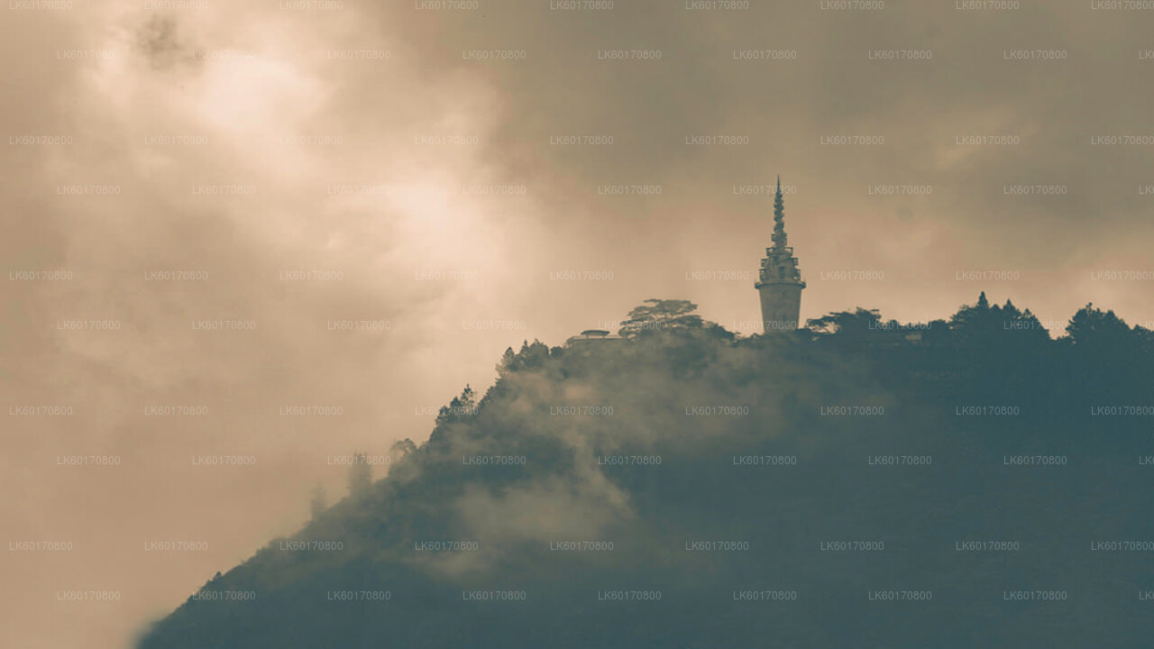 从康提探索安布卢瓦瓦生物多样性中心