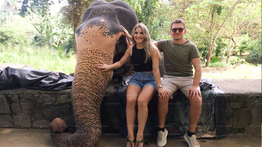 科伦坡千禧大象基金会