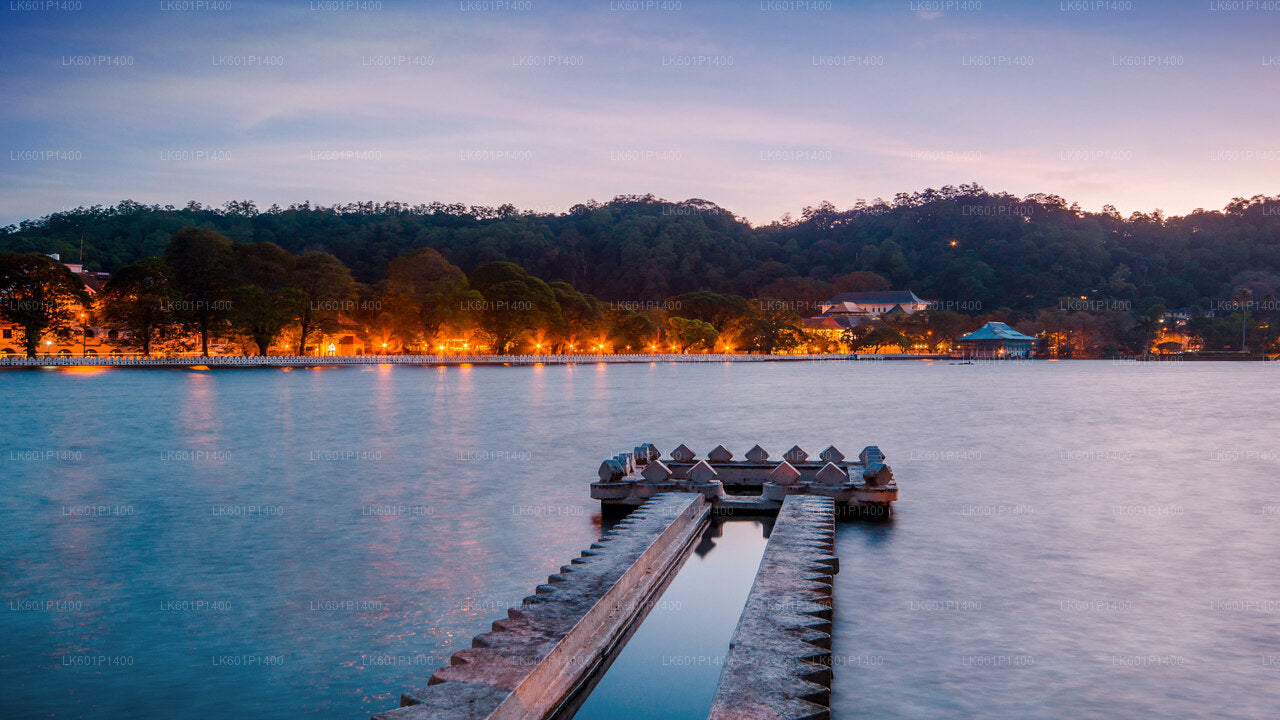 Kandy City Tour from Negombo