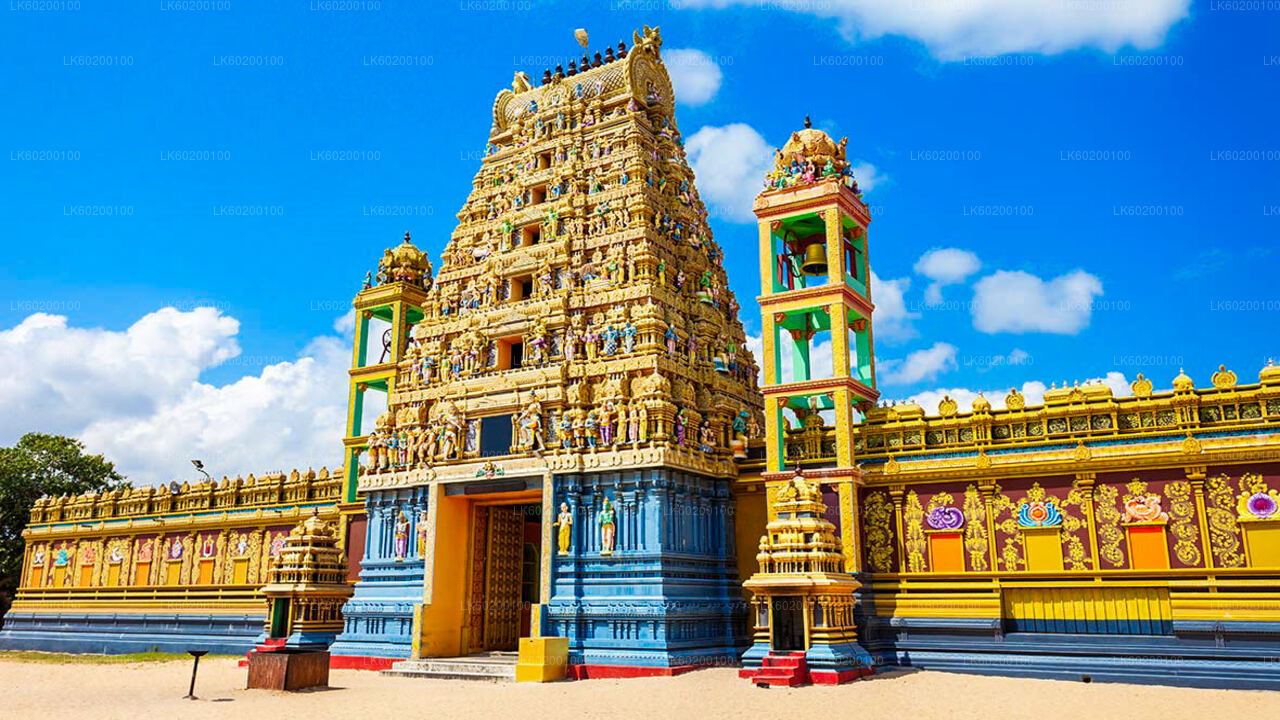 贾夫纳城市之旅和纳加迪帕岛（贾夫纳出发）