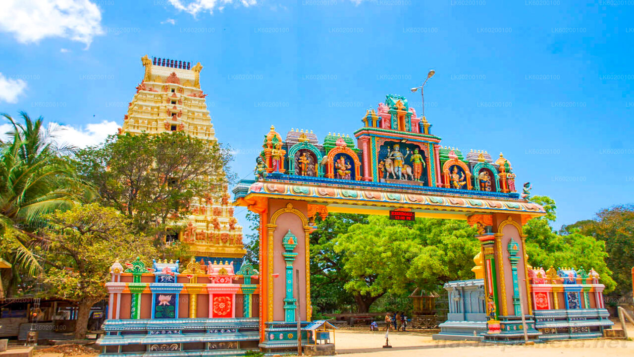 贾夫纳城市之旅和纳加迪帕岛（贾夫纳出发）