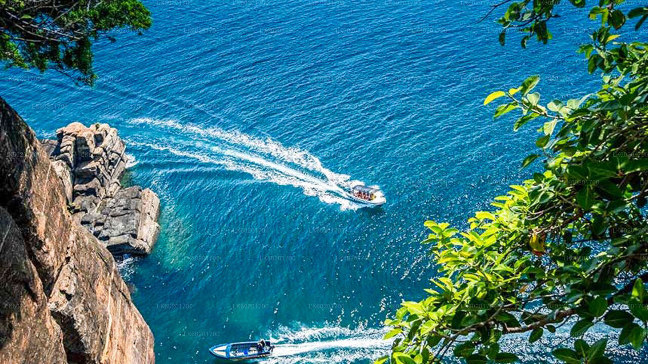 亭可马里城市之旅（锡吉里亚出发）