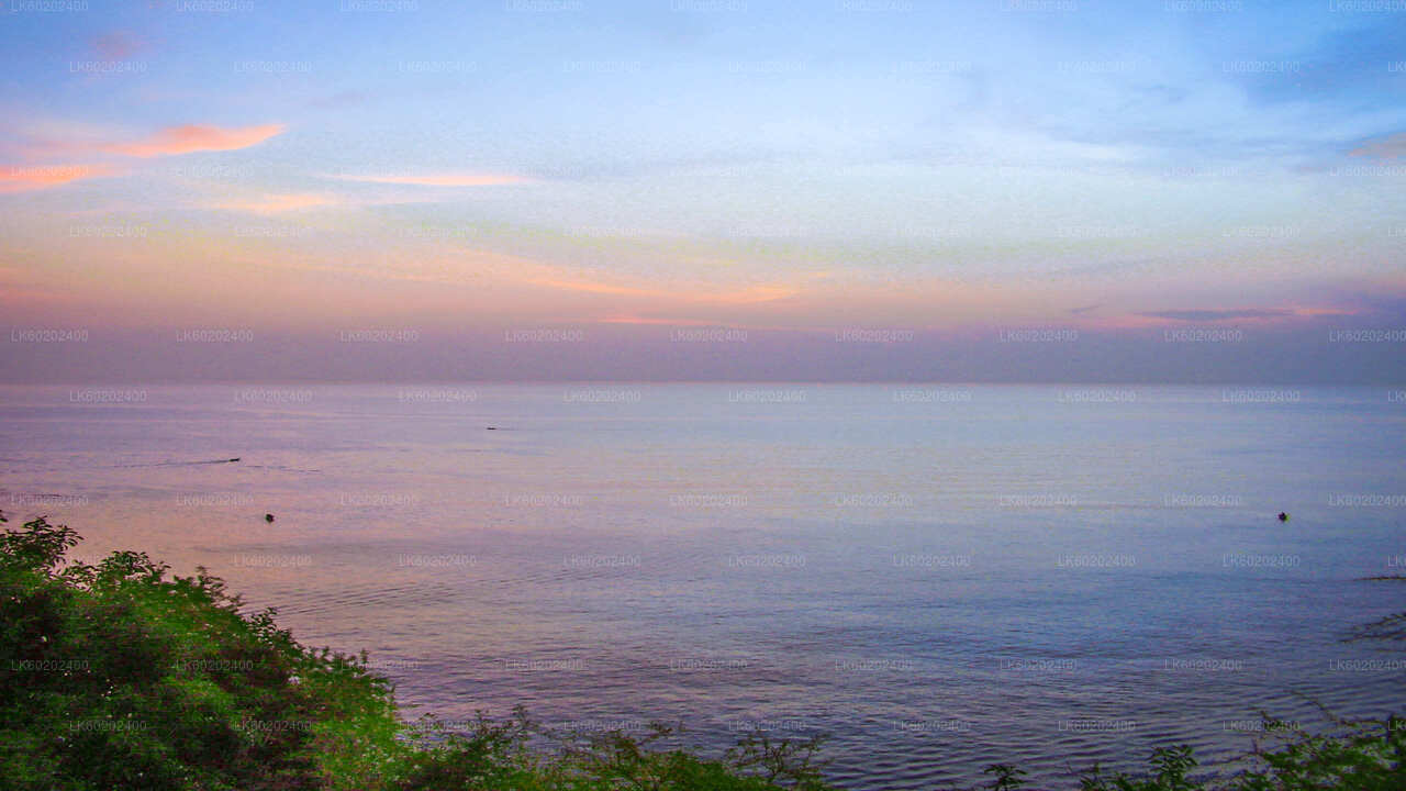 来自锡吉里亚的 里提加拉、卡拉维瓦 和 纳马尔·乌亚纳