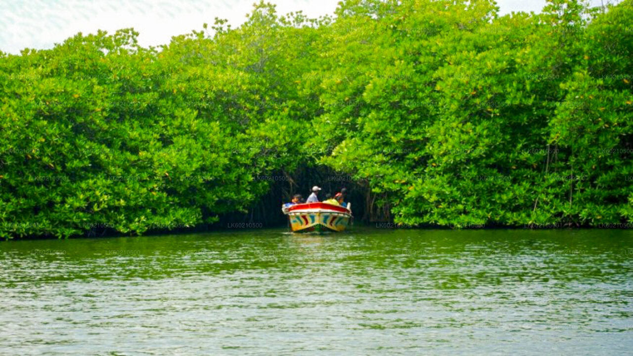 从坦加勒出发的本托塔城市之旅