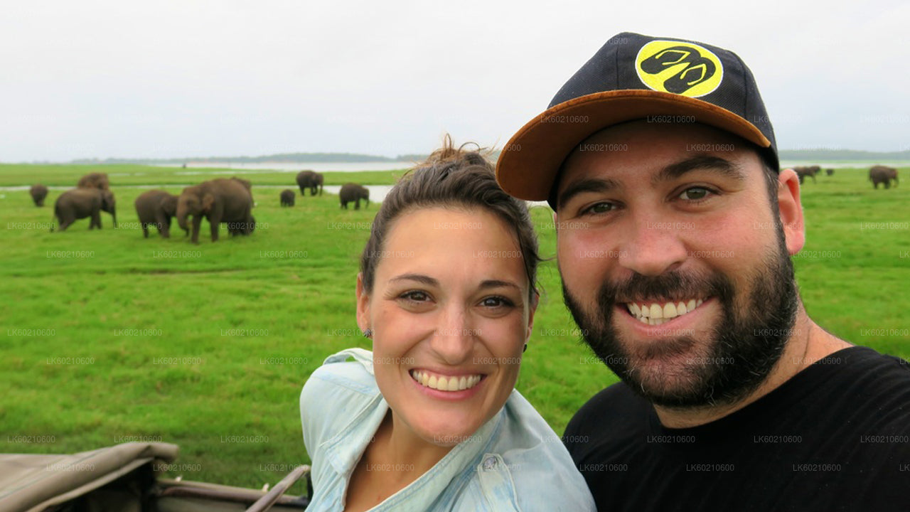 坦加勒出发的本达拉国家公园野生动物园