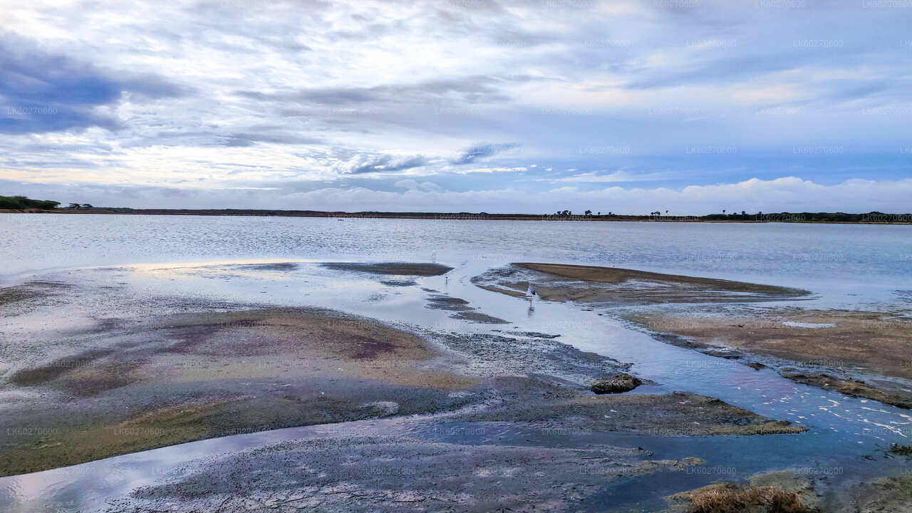 从迪克韦拉出发，前往邦达拉国家公园进行野生动物之旅
