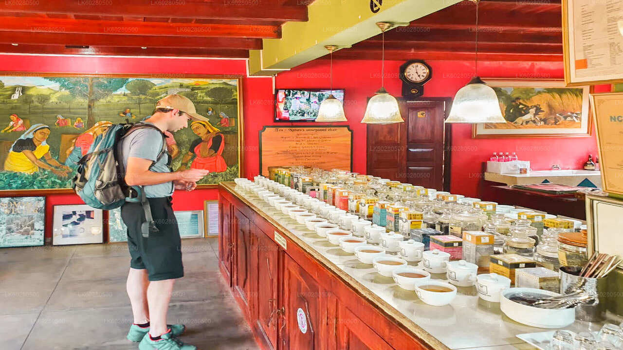 汉班托塔南部海岸亮点