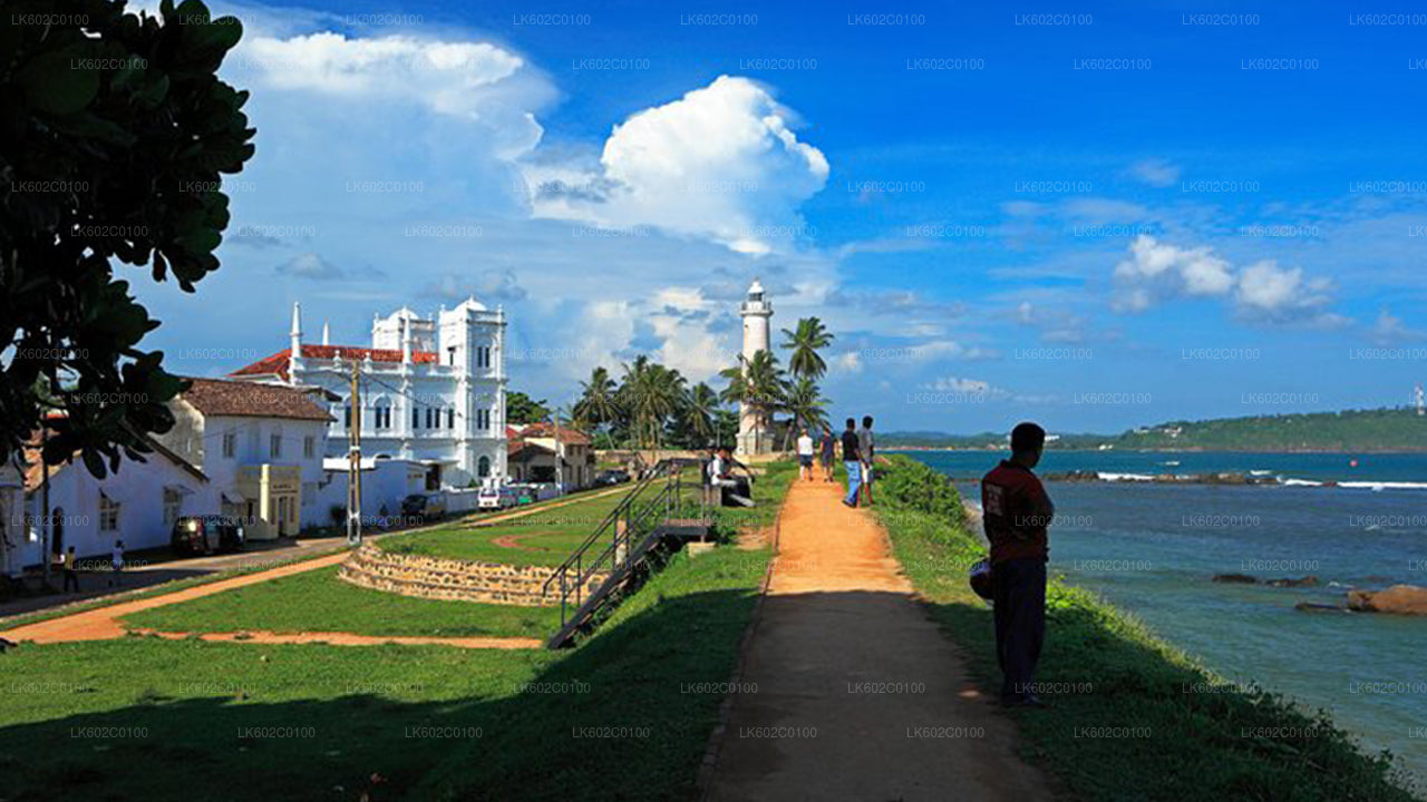 韦利格默市南部海岸亮点